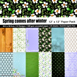 Spring comes after Winter Paper Pack 12 by 12