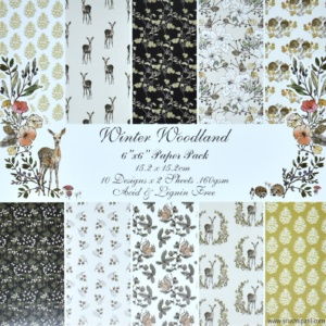 Winter Woodland  Paper Pack 6 by 6 (B)