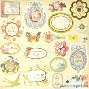 Peach Roses Paper Pack 12 by 12 (PS017)