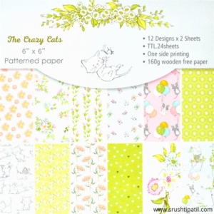 The Crazy Cats Paper Pack 6  by  6